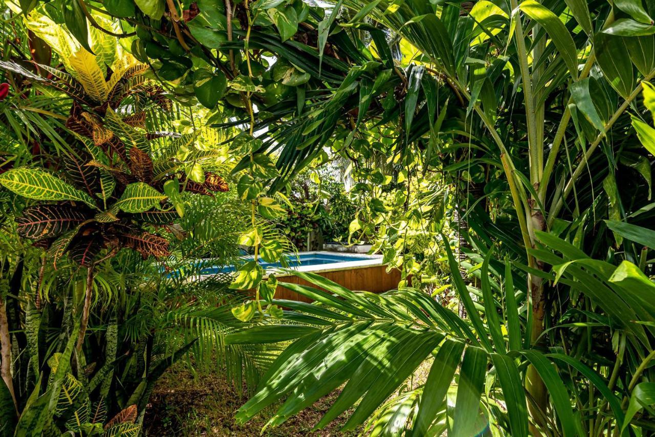 Casa Nona Rosa Lägenhet Cancún Exteriör bild